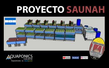 Project SAUNAH